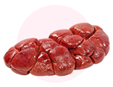 KIDNEY