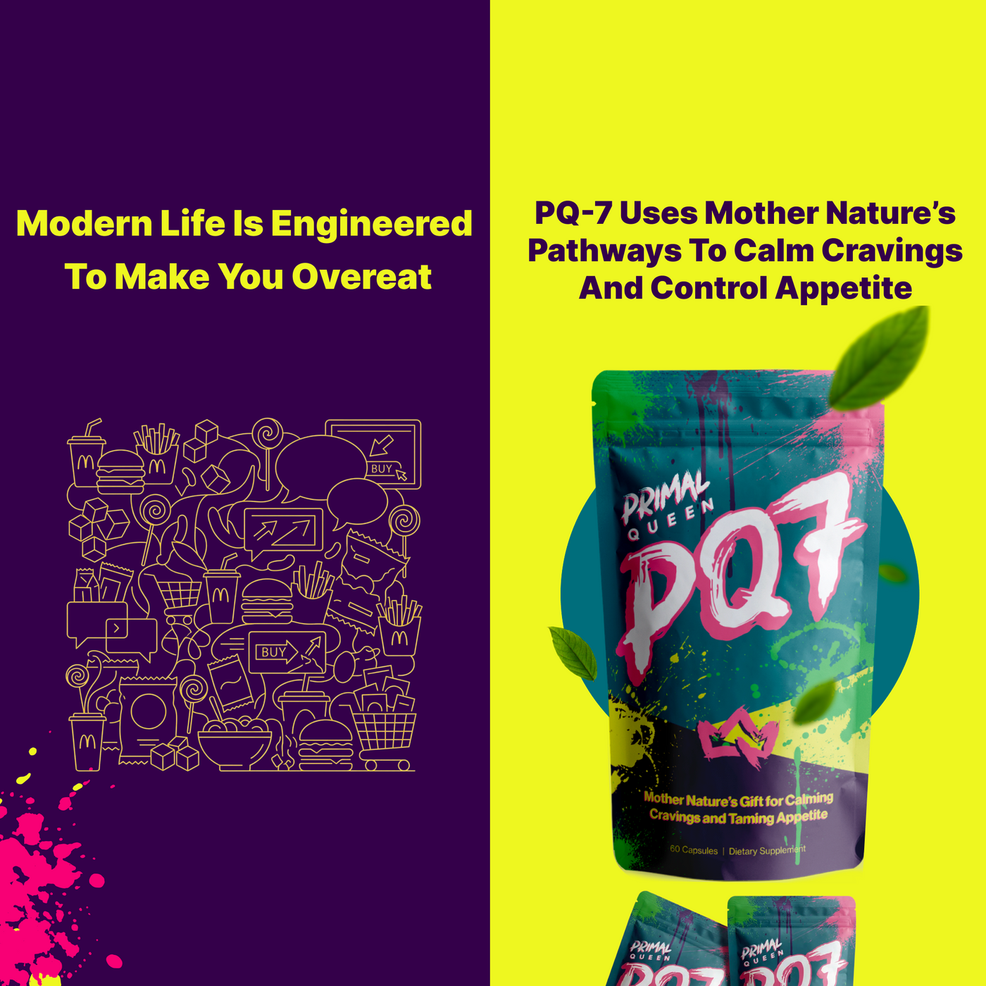 PQ7 Starter Kit (2 Months + 1 Month Free)