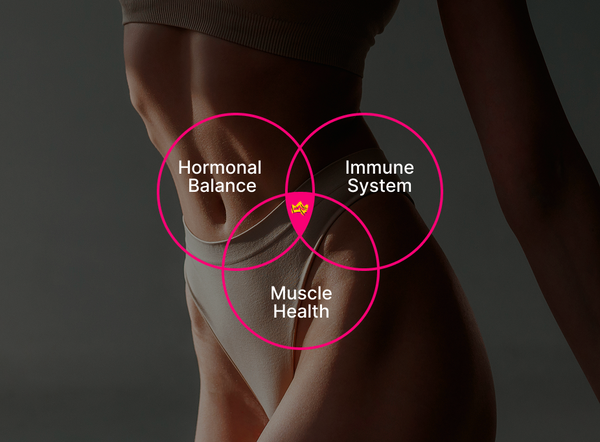 Hormonal balance, immune system, muscle health