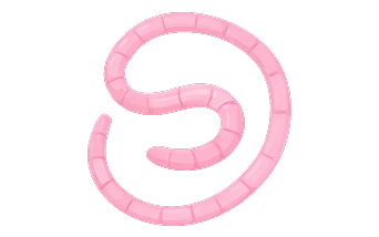 Beef Fallopian Tubes