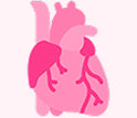 Beef Heart