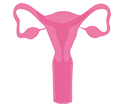 Illustration of a pink uterus on a white background.