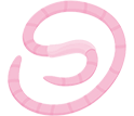 Illustration of a pink, coiled worm on a white background.