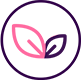 ic
