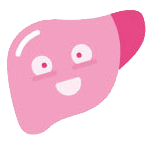 liver
