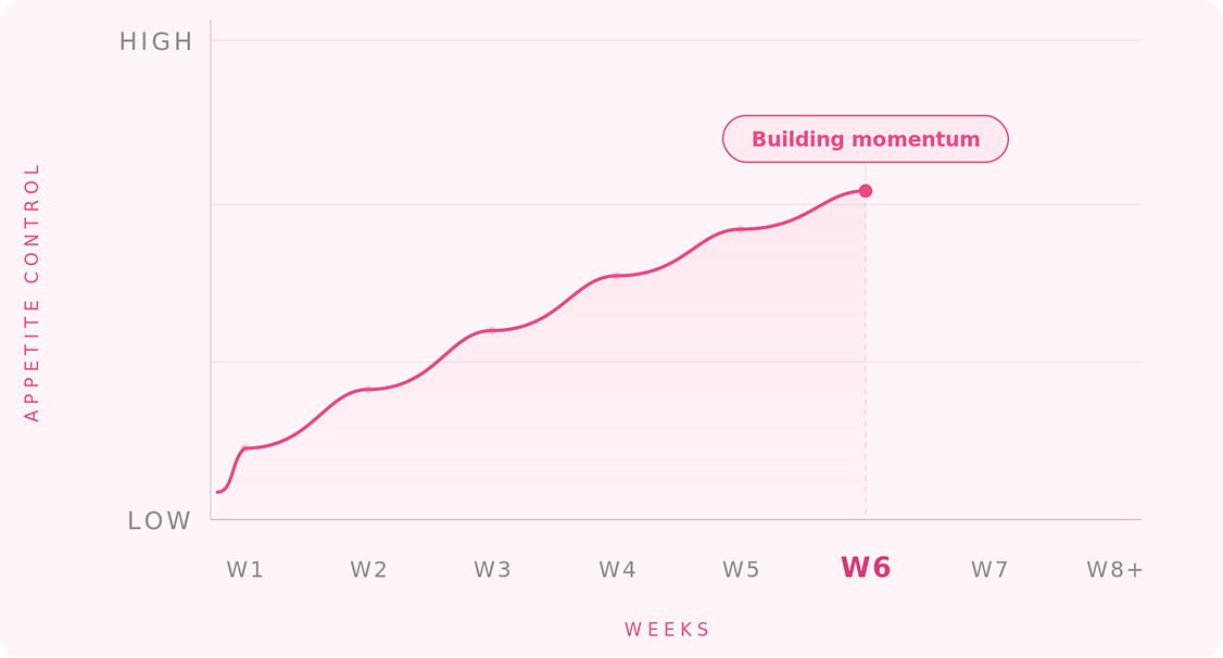 BUILDING MOMENTUM