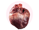 CORAZÓN